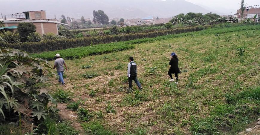 Instalarán parcelas demostrativas en el valle del río Chillón