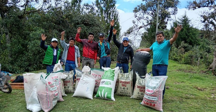 Instalan 16 hectáreas de pastos cultivados en Santa Cruz Cajamarca Perú