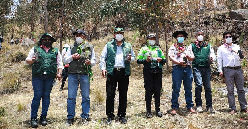 instalan plantones para reforestar Junín