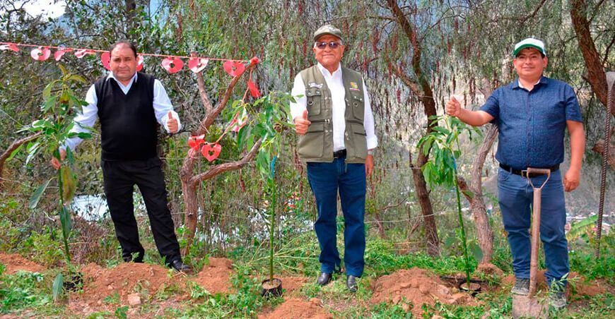 productores instalarán plantones de palto en Andajes
