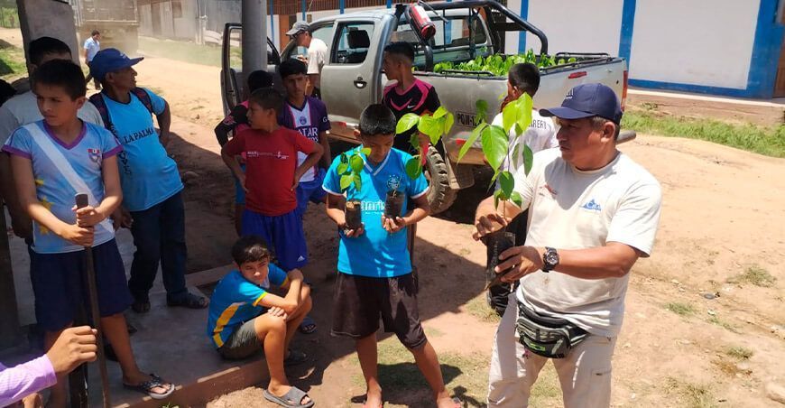 Instalan 10 000 plantones en la zona de amortiguamiento del Parque Nacional Cordillera Azul