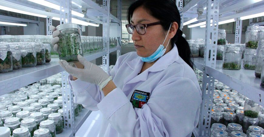 Día de la Investigación Agropecuaria