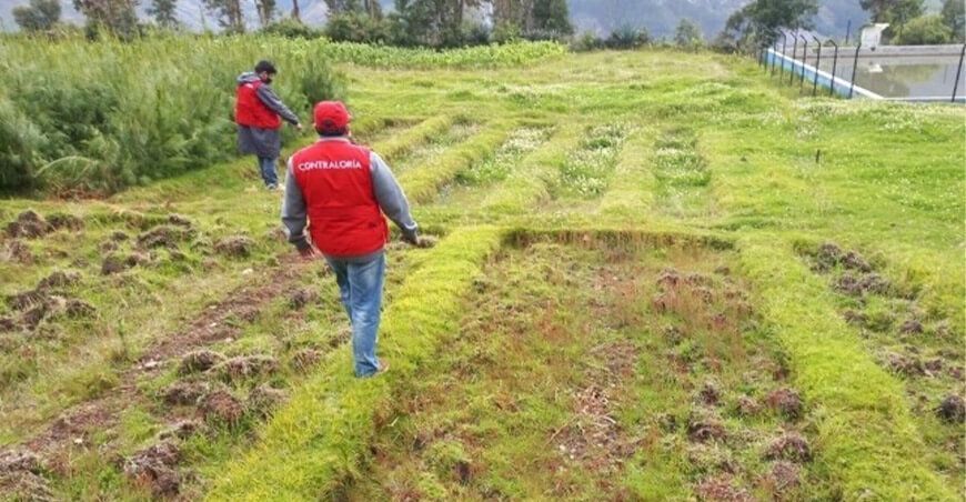 Irregularidades en el proyecto de reforestación del Gore Ancash
