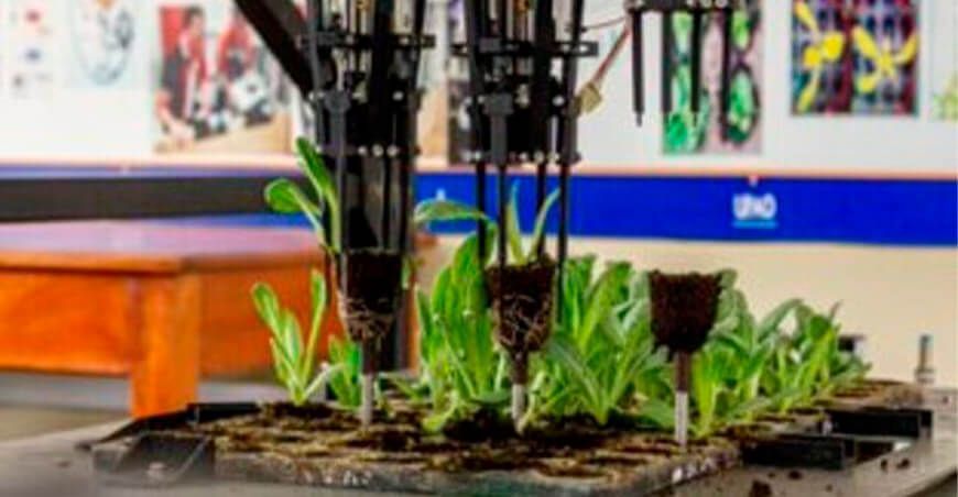 Crean “brazo robótico” para controlar calidad de plantines en viveros