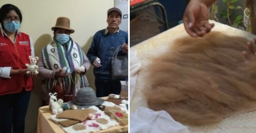 artesanas apuestan por la transformación de fibra de alpaca