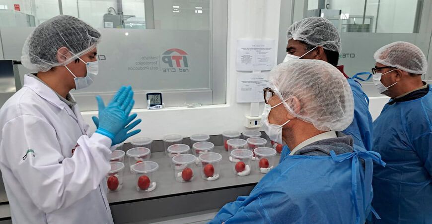 Semana de la Agroindustria capacitarán a más de 500 unidades productivas ITP
