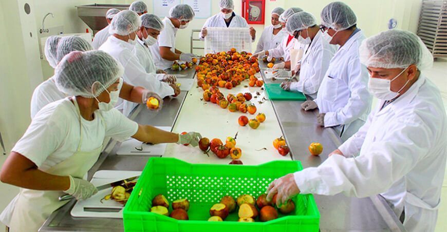 ITP empresas agroindustriales Perú