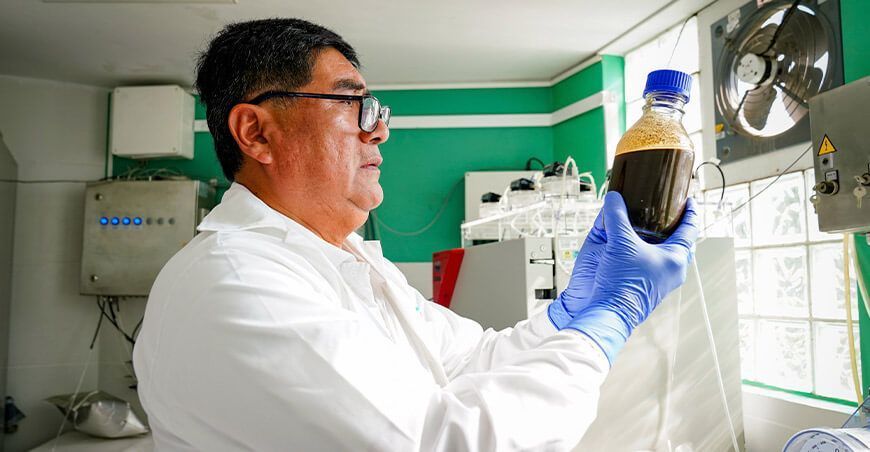 Crean biofertilizante orgánico a partir de harina de pescado