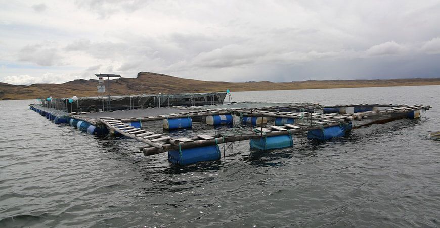 jaulas flotantes para crianza de truchas en Huancavelica
