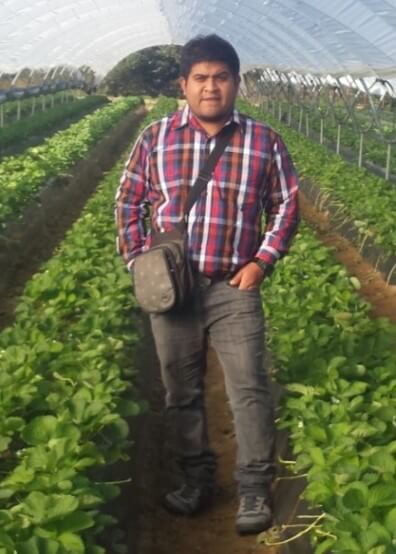 José Cordero Verano, gerente general de Agro Natural Park y asesor internacional en berries