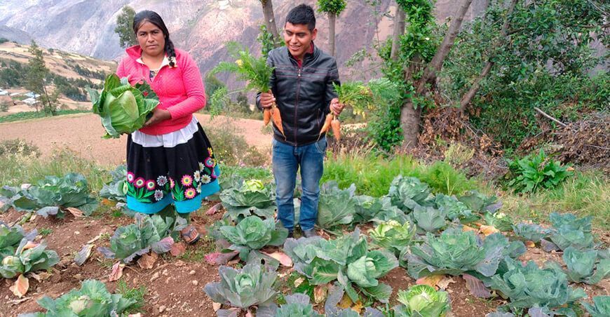 promoción de la juventud rural en la Agricultura Familiar
