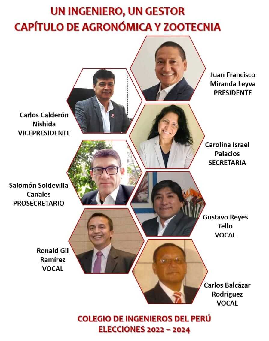 Colegio Ingenieros del Perú: elecciones 2022- 2024