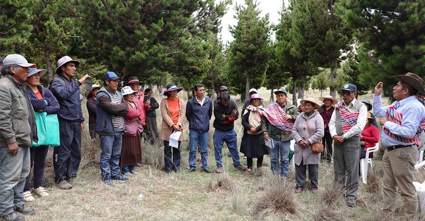 Impulsarán proyecto de forestación en comunidad campesina de Tingo Paccha Jauja Junín
