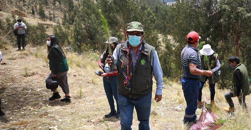 instalan plantones para reforestar Junín