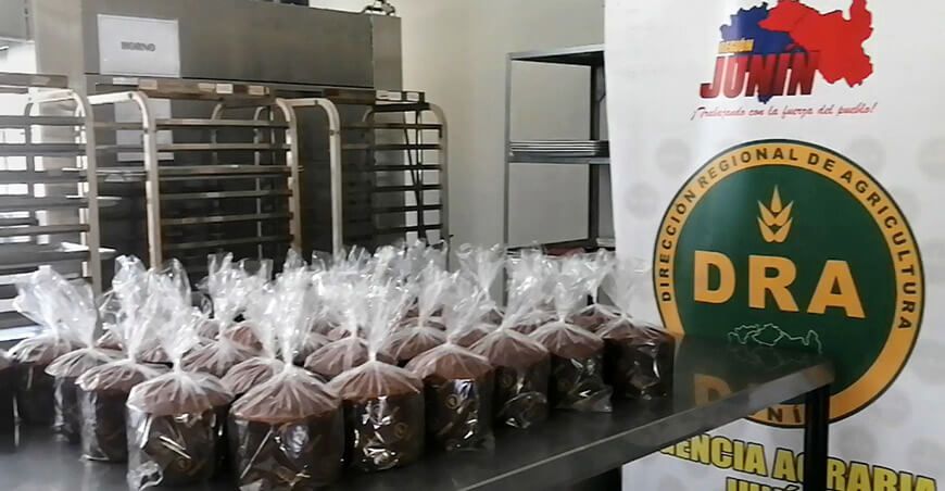 Pequeños productores elaboran panetones de maca