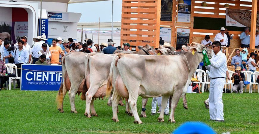 Simposio Virtual de Juzgamiento en Ganadería Lechera