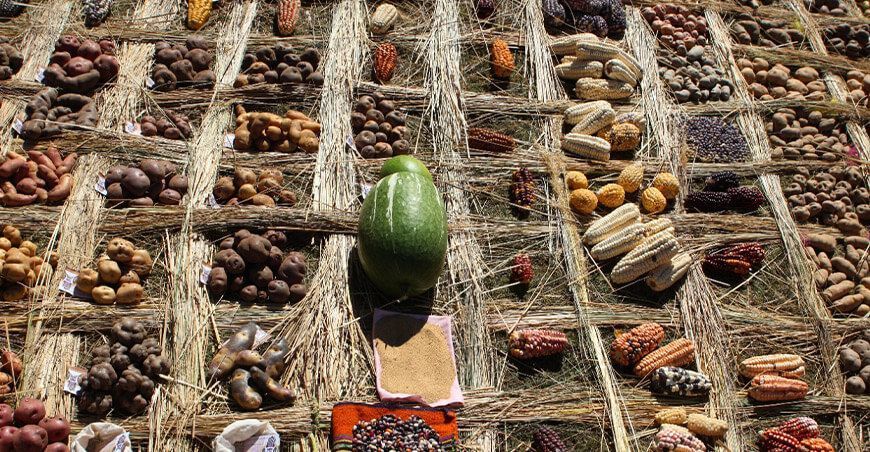 Agrobiodiversidad