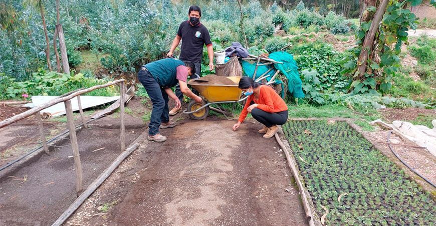 sembrarán 40 mil plantones forestales en Santiago de Chuco