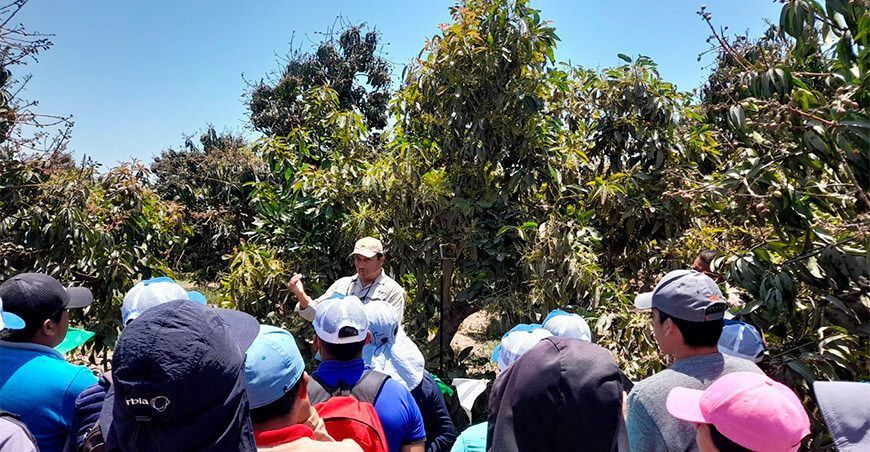 encuentro regional de intercambio de experiencias de productores de palta 
