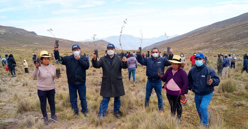 Siembra de quinuales en Lahuaytambo