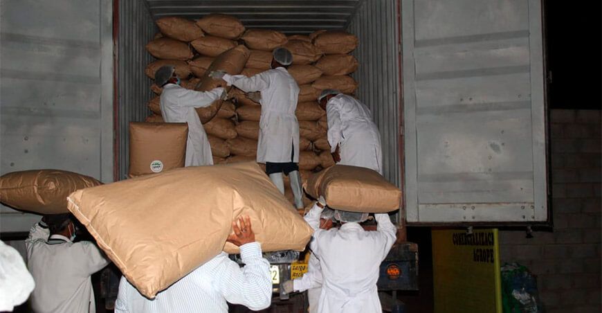 Lambayeque: agricultores envían primer container de orégano orgánico a EE UU