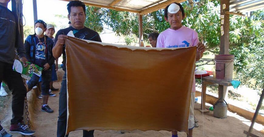látex de shiringa Perú