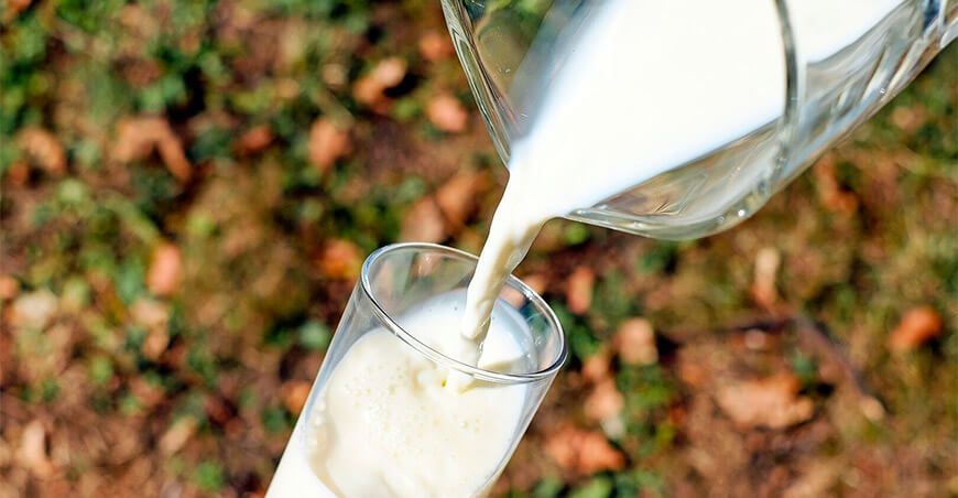 leche de vaca