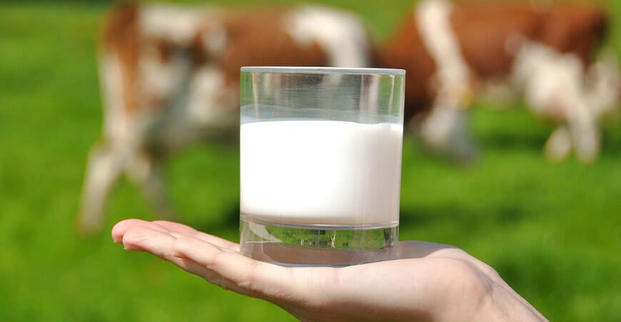 leche vaca