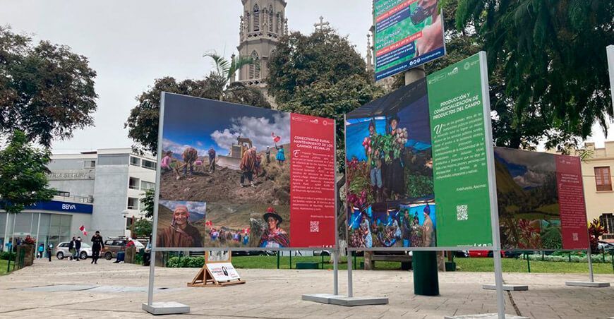 Los rostros del nuevo Agro Rural en el Bicentenario del Perú