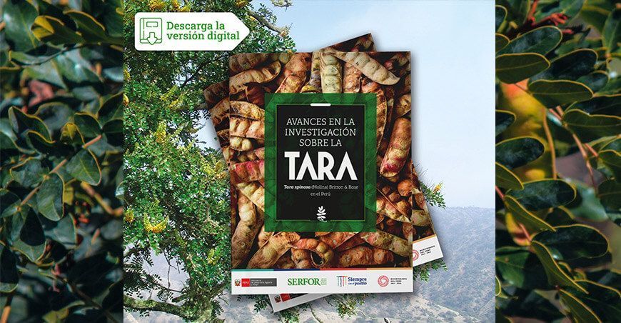 libro Avances en la investigación sobre la tara del Serfor