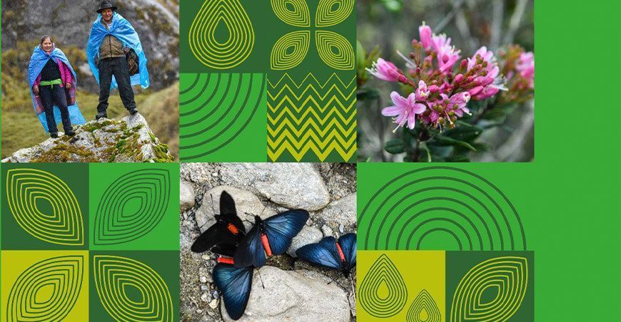 Programa Bosques Andinos