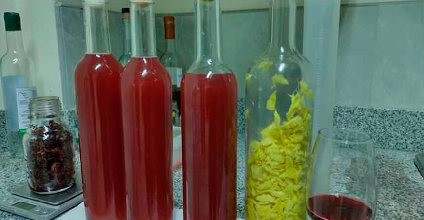 Elaboran licor de fruta para reforzar el sistema digestivo e inmunológico