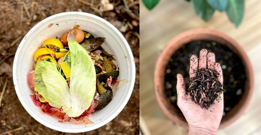 Lima Compost