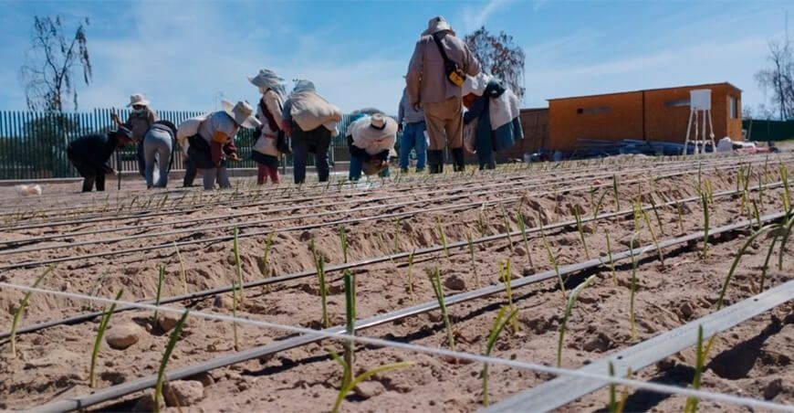 Instalan lisímetros y estación meteorológica en Arequipa