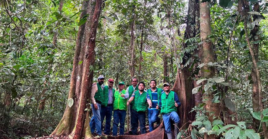 Estado actual del manejo forestal en Perú