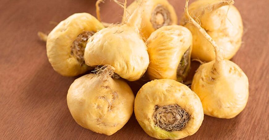cultivo maca Perú