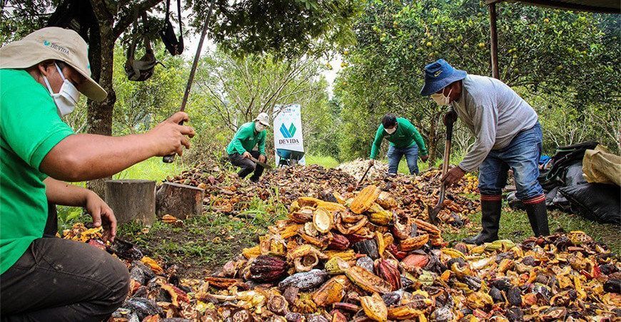 manejo de residuos orgánicos y la producción de compost