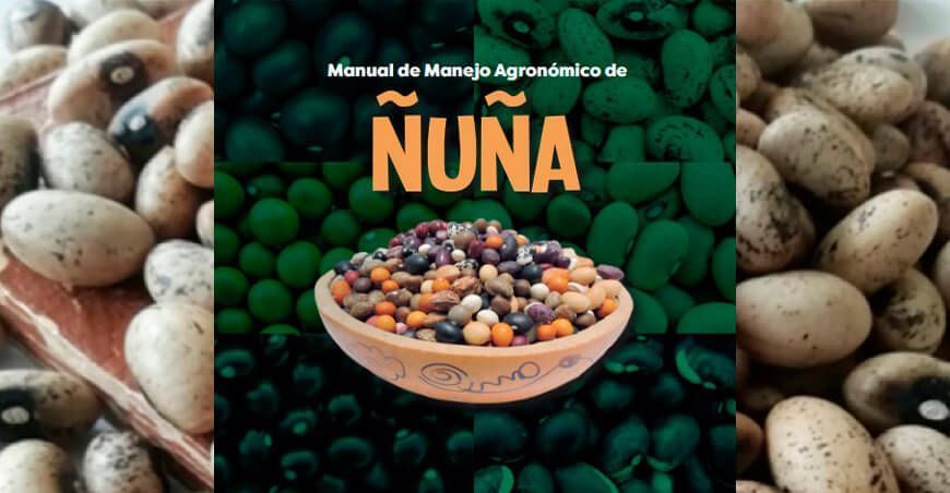 Manual sobre manejo agronómico de ñuña INIA Perú