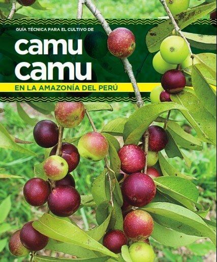 camu camu
