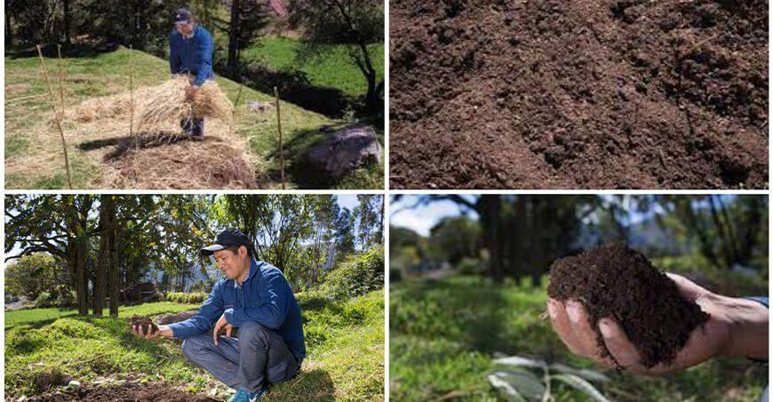 Elaboración de Compost Serfor