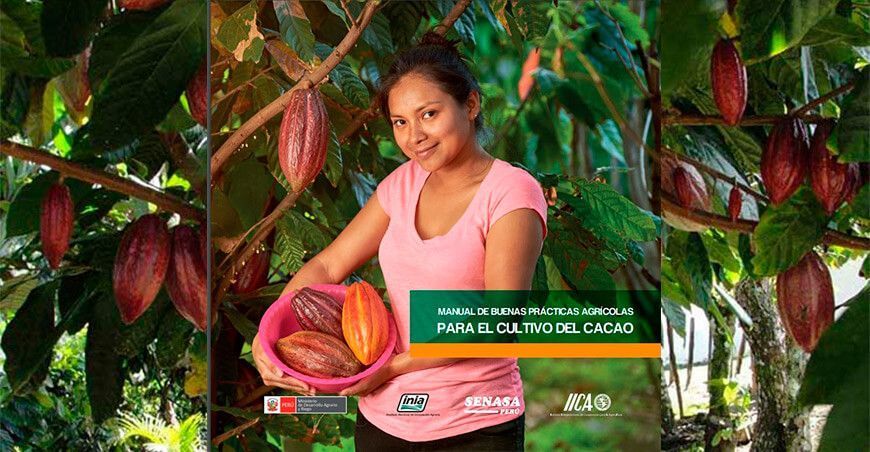 Manuel de cultivo de cacao Perú