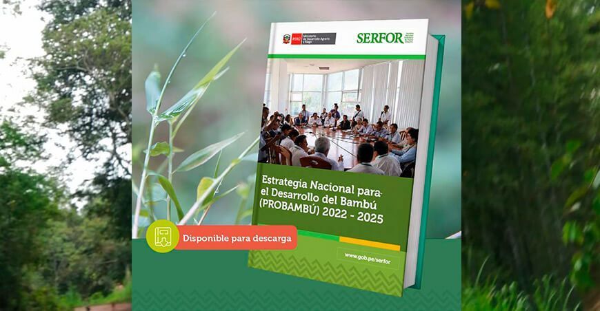 Manual “Estrategia nacional para el desarrollo del bambú”