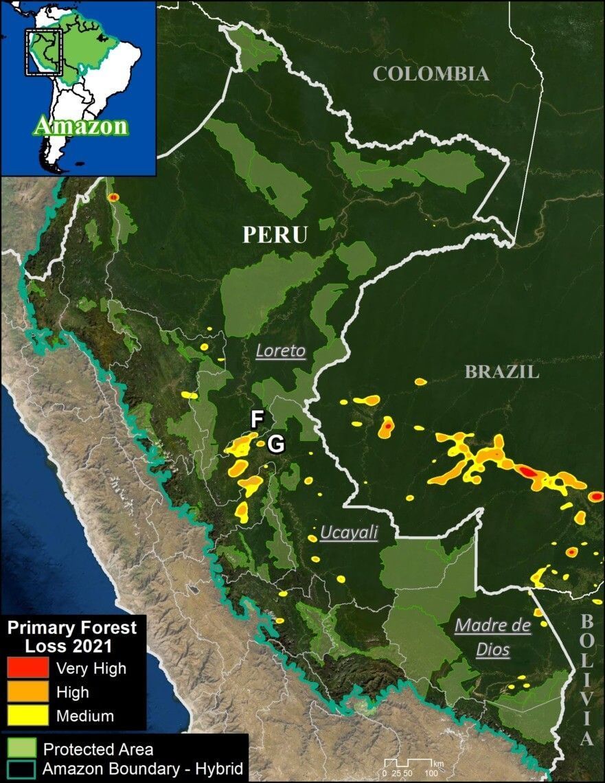Deforestación Amazonía Perú
