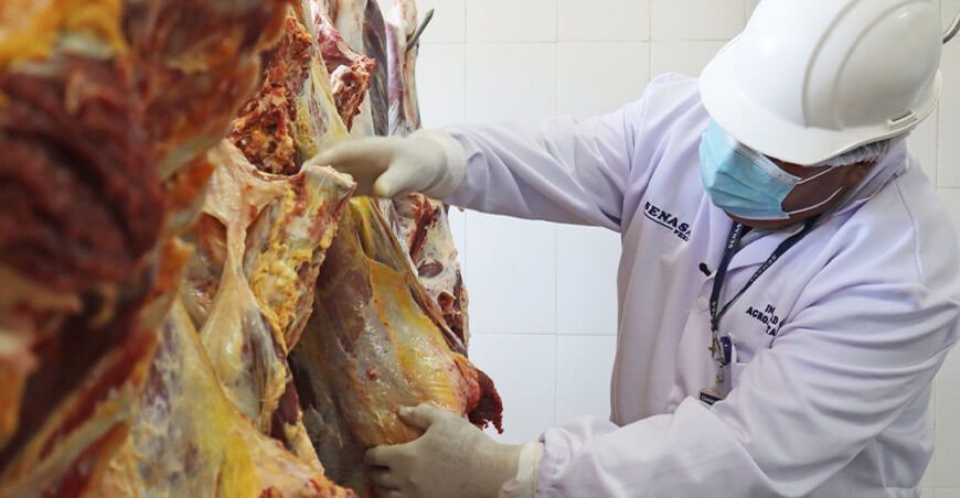 Apurímac: matadero municipal San Jerónimo tendrá kit completo de faenamiento