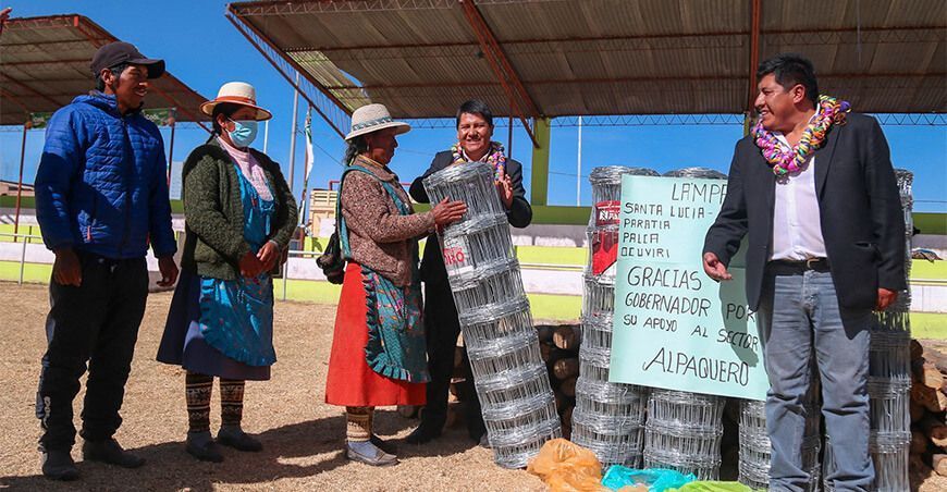Implementan módulos de empadre controlado de alpacas en Puno