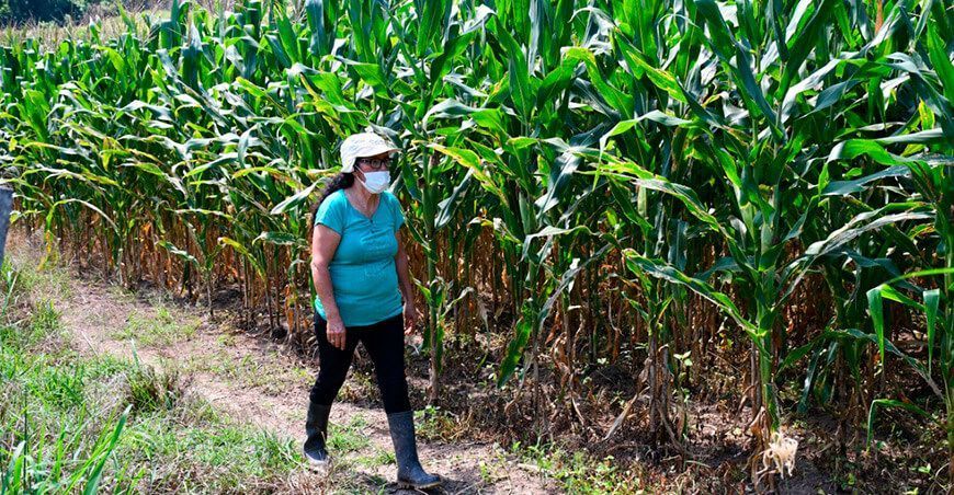 Matilde Tocto, un ejemplo de emprendimiento en San Martín
