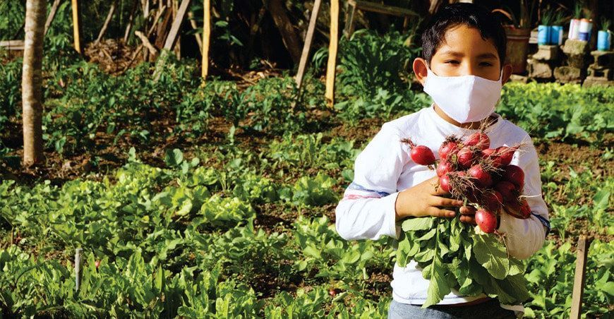 Oxapampa: ponen en marcha programa municipal “Mi Huerta en Casa”
