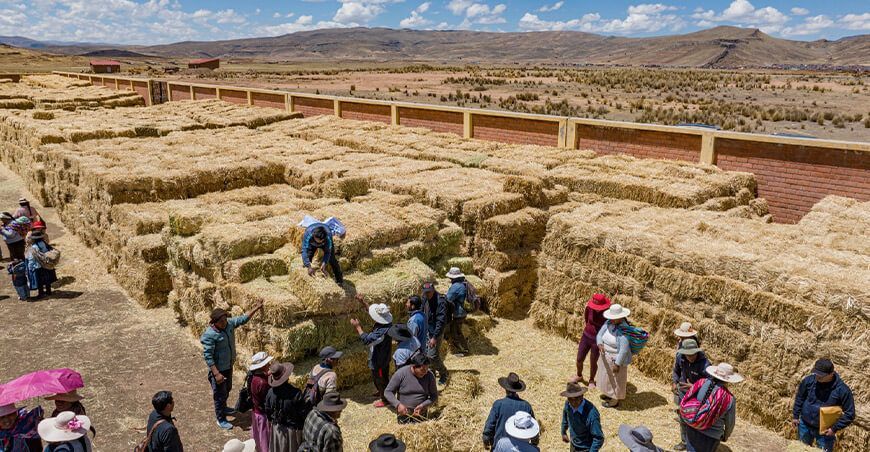 Midagri entregó mini establos y pacas de heno para enfrentar déficit hídrico en Puno