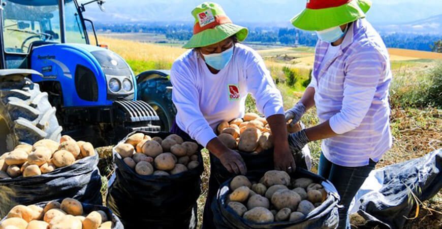 Nueva política agraria impulsará mercados y mayor rentabilidad a Agricultura Familiar
