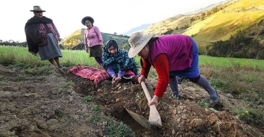 A partir de agosto se implementará nuevo Seguro Agrícola para atender efectos de El Niño Perú